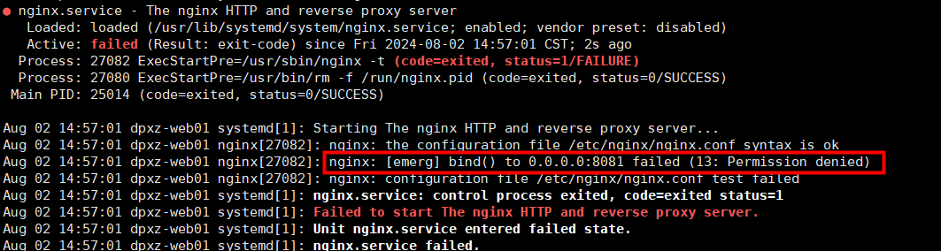 nginx-error